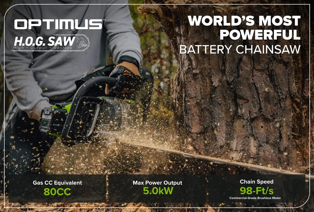 0000991_82v-5kw-chainsaw-the-hog.webp