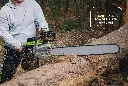 0000990_82v-5kw-chainsaw-the-hog.webp